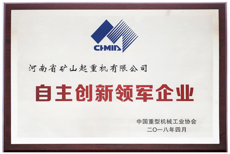 自主創(chuàng)新領軍企業(yè)
